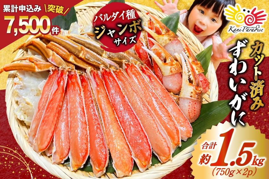 カニ かに カット済 ずわいがに むき身セット 総重量1.5kg(750g×2p) かにしゃぶ かに鍋 正味重量1.2kg [カネダイ 宮城県 気仙沼市 20564319] かに カニ ずわいがに ずわい 蟹 棒 魚介 海鮮 ポーション
