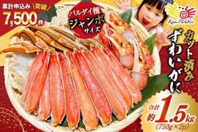 カット済 ずわいがに むき身セット 総重量1.5kg(750g×2p) かにしゃぶ かに鍋 正味重量1.2kg [カネダイ 宮城県 気仙沼市 20564319] かに カニ ずわいがに ずわい 蟹 棒 魚介 海鮮 ポーション