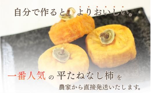 【県認定エコファーマー】甘さが違う！とっても甘くなる生渋柿（平たねなし柿）あんぽ柿用 T軸枝無 約2.5〜3kg 約9〜18個 １０月下旬〜順次発送-AP【art041】