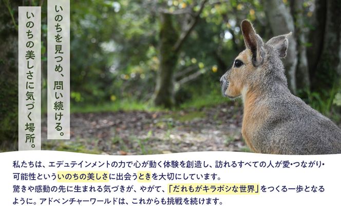 白浜町ふるさと納税 アドベンチャーワールド入園引換券 大人・子ども ペアチケット 304018_DU004