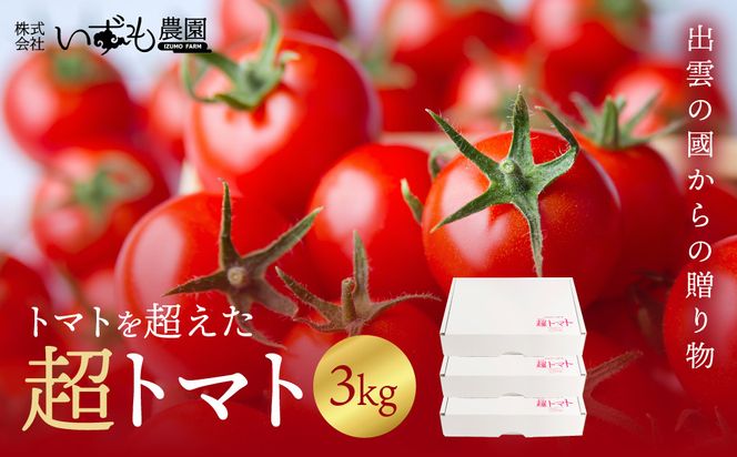 出雲の國からの贈り物～トマトを超えた超トマト３kg 322032_AT003