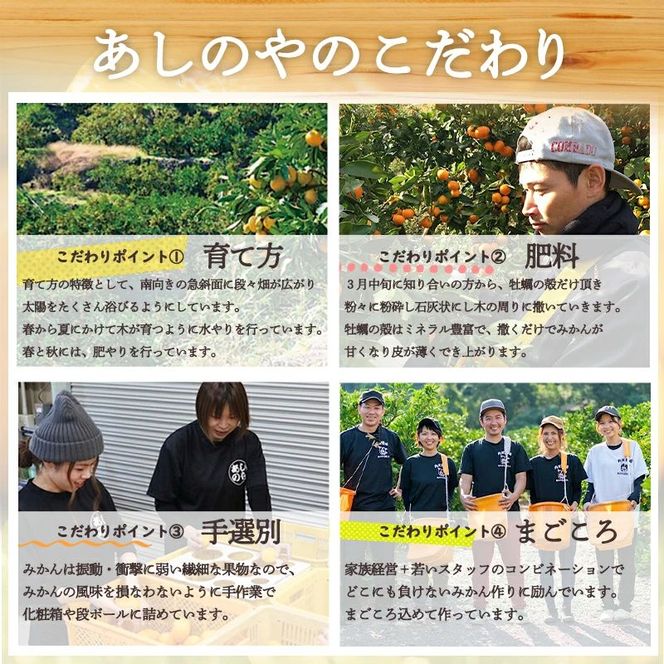 【2027年先行予約】和歌山県産 有田の はるみ 6玉 (L～2Lサイズ混合)_ZE6093n