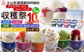 1077.収穫祭10個入 313726_AH018