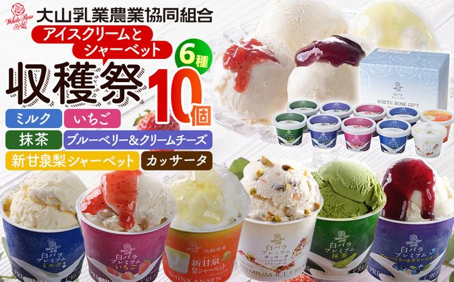 1077.収穫祭10個入 313726_AH018