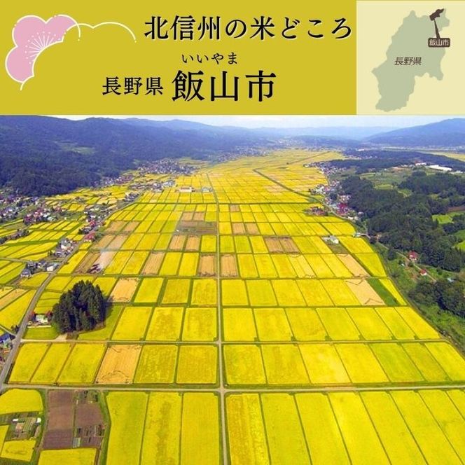 【令和8年新米予約】《定期便》＼ 2026年10月より6回 ／ 特別栽培米 「かまくらの里 コシヒカリ」 5㎏×6回 合計30kg（Cc-004-10）