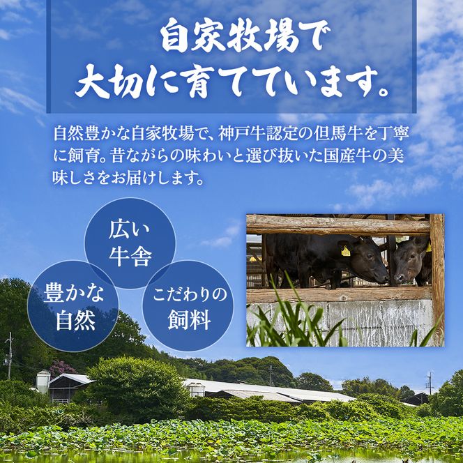 【神戸牛・但馬牛】ホルモンミックス 500g 小腸 大腸 ミノ ハチノス センマイ アカセン