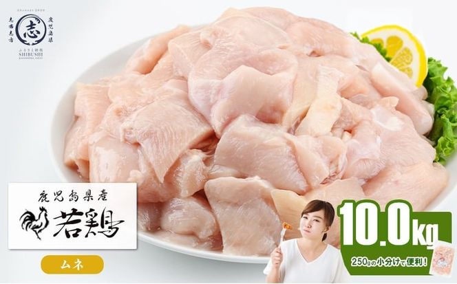 小分けで便利！鹿児島県産若鶏ムネ切身 計10kg(250g×40P) b6-029