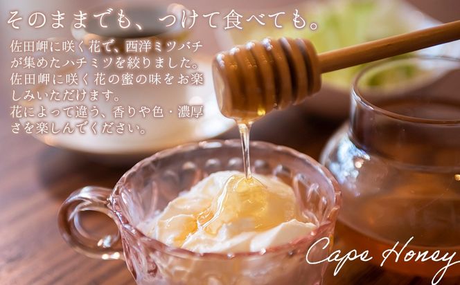 【もち蜂蜜】みかん農園のはちみつ 1kg×3本入 ※離島への配送不可 IKTC013