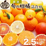 ＜1月より発送＞厳選 柑橘詰合せ2.5kg+250g（傷み補償分）◇【有田の春みかん詰め合わせ・フルーツ詰め合せ・オレンジつめあわせ】【光センサー選別】 ※北海道・沖縄・離島への配送不可 ※2026年1月上旬～4月下旬頃に順次発送予定