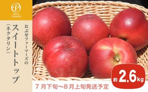 スイートトップ 約2.6kg ［おぶせファーマーズ］ ネクタリン 果物 フルーツ 桃 もも 冷蔵便 クール便  長野県産 信州産  令和8年産 【2026年7月下旬～8月上旬発送】