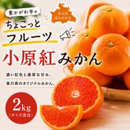 東かがわ市のちょこっとフルーツ「小原紅みかん 2kg」