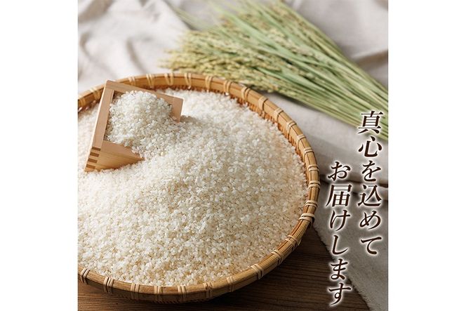 《選べる精米・容量・配送》姶良市産 あきの舞！ 白米 or 玄米(2kg・5kg・定期便)【アグリベースAIRA】姶良市 米 お米 白米 玄米 精米 あきの舞 定期便 a1104 a1105