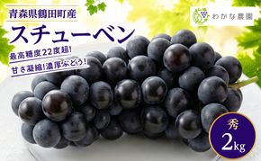 【園主厳選・秀】奇跡のぶどう スチューベン 2kg　最高糖度22度超！ わかな農園