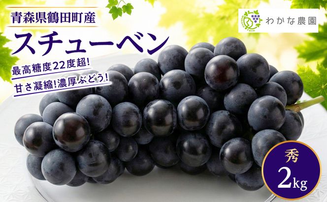 【園主厳選・秀】奇跡のぶどう スチューベン 2kg　最高糖度22度超！ わかな農園