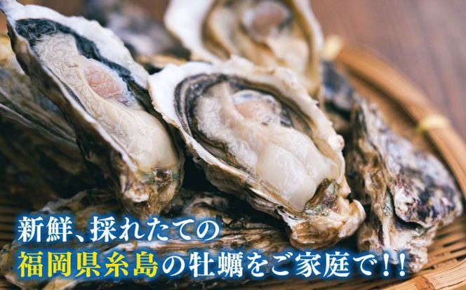 【加熱用】一粒牡蠣 カキ 3kg (牡蠣ナイフ付き) 糸島産 福吉 糸島市 / 伸栄丸 カキの佐々木 牡蠣 生カキ 生食用 殻付き カキ 生牡蛎[ATH002]
