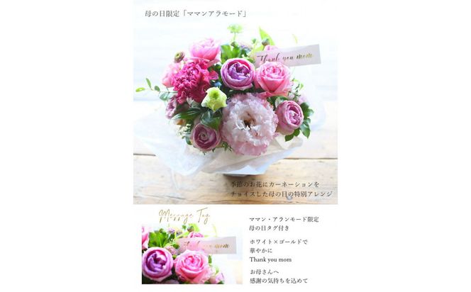 【母の日】アラモード「ママン・アラモード」＜お届け日：2026年5/4～5/10 当店おまかせ ＞母の日カード付き【 母の日 ギフト アレンジ 花 贈り物 大阪府 門真市 】 272230_BG126
