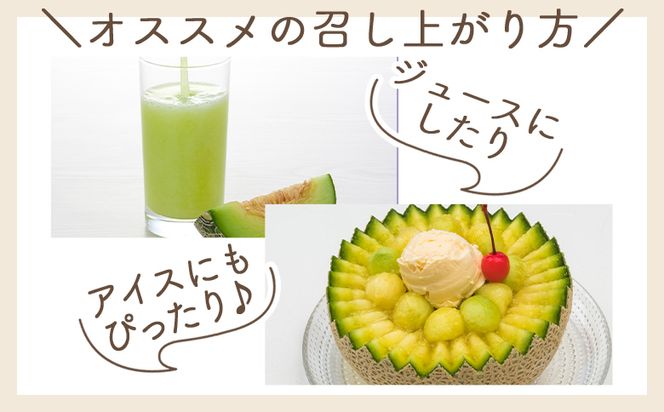 【令和8年3月発送開始】マスクメロン ２玉 家庭用 yr-0089