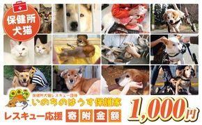 保健所犬猫レスキュー【返礼品なしのご寄附】犬 猫 保護 レスキュー 動物愛護 返礼品なし ペット 保護犬 保護猫 支援 応援 ボランティア