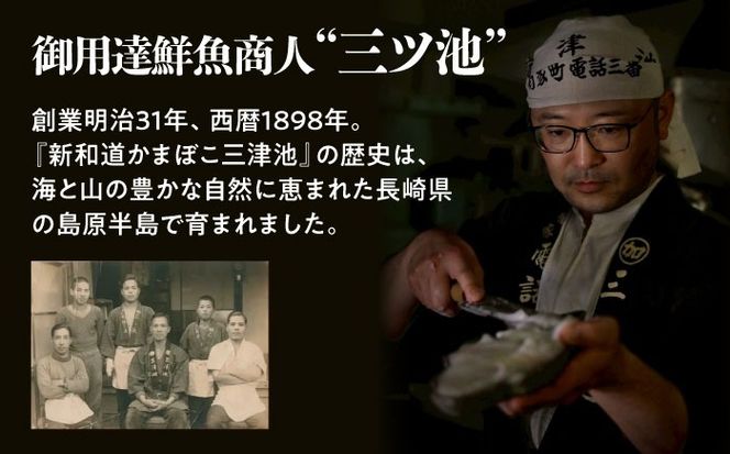 【2025年12月〜発送】 老舗蒲鉾店のお歳暮・お正月用 計7種 詰合せ / 蒲鉾 ヘルシー 魚介類 練り物 贈答用 お歳暮 年末 正月 おせち 年内発送 / 南島原市 / 三ツ池[SCK022]