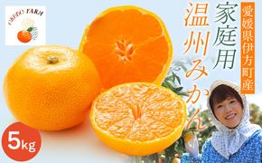 【先行予約】【家庭用】温州みかん 5kg ※北海道・沖縄・離島への配送不可 （2026年11月15日より順次発送予定） IKTAT003 
