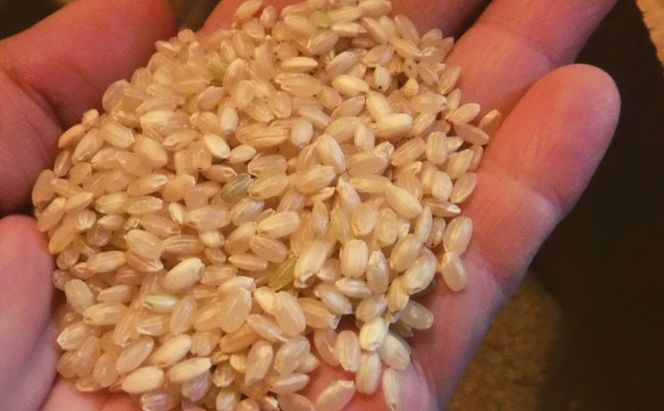 米 2kg 季節野菜 セット 玄米 ゆめつくし お米 詰合せ 福岡県産 