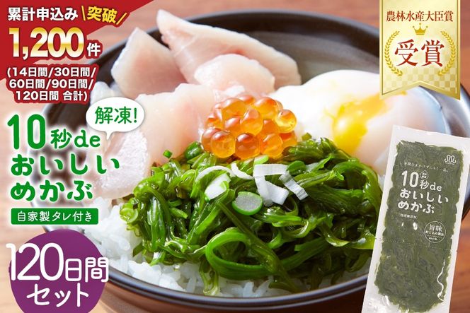 y{錧CszTVEVŏЉ ! 10bde߂ 120ԃZbg(Ɛ^t) [۔ɏX {錧 Cs 20565507] C O OY  ߂ Ju Y ^t ①