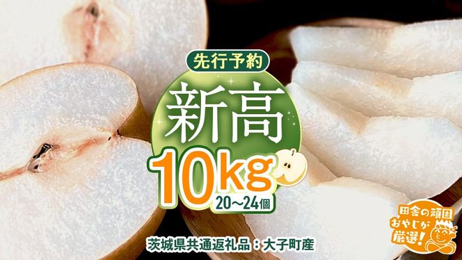 梨 新高 10kg（20～26個）【2026年10月より発送開始】（茨城県共通返礼品 [梨]：大子町産）田舎の頑固おやじが厳選！ なし 新高梨 和梨 フルーツ 果物 くだもの 高糖度 ギフト 茨城 [BI307-NT]