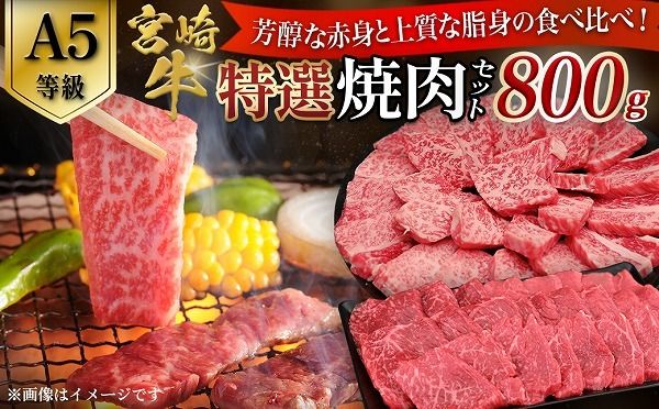 y{茧юszyA5z{苍 IēZbg v800giԐgE~j {苍 uh a  ē Ia ~ A5 {茧 юs