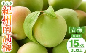 手もぎ 青梅 南高梅 15kg 大粒 3Lサイズ 以上 谷本農園 CX073