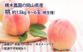 桃 2026年 先行予約 岡山の桃（晩生種）約1.5kg 4～6玉 もも モモ 岡山県産 国産 フルーツ 果物 ギフト 横木農園 スイーツ 