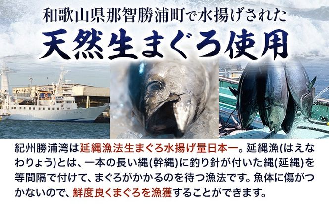 那智勝浦直送 天然もちもち生ビン長まぐろとまぐろたたきセット 2人前 株式会社魚鶴商店《30日以内に出荷予定(土日祝除く)》和歌山県 日高川町 まぐろ 魚 マグロ たたき ねぎとろ 海鮮 鮪 魚介 さかな ビン長 ビン長まぐろ---wshg_cuot70_30d_24_13000_2set---