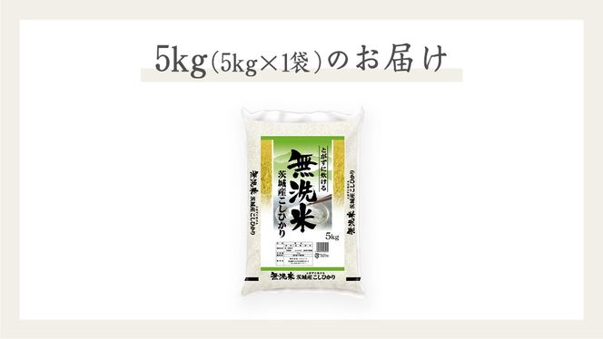 《 令和6年産 》 茨城県産 無洗米 コシヒカリ ( 5kg × 1袋 )  期間限定 こしひかり 米 コメ こめ 五ツ星 高品質 白米 精米 時短 単一米 [AC035us]