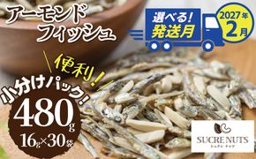 【2027年2月発送】 手軽に健康習慣 小分けのこざかなアーモンド カシューナッツ入り 480g(16gｘ30袋) おうち時間 おやつ 大満足 美容 健康 栄養豊富 人気 高リピート ナッツ  H059-179_Feb