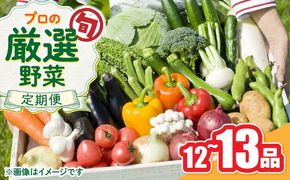 野菜のプロが選ぶ 旬の野菜セット 12〜13品目 野菜定期便 / 野菜 やさい セット 新鮮 / 南島原市 / 愛2農園[SGG005]