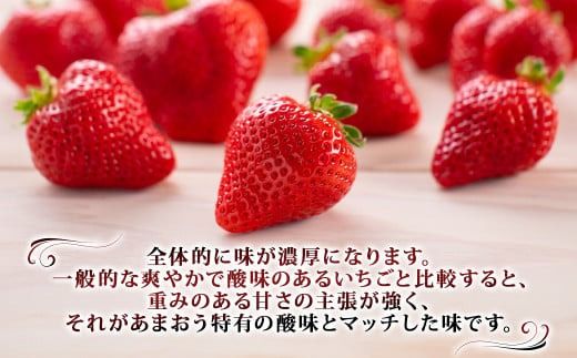 【訳あり】完熟あまおう 約275g×4パック 合計約1.1kg 【2025年1月上旬～3月上旬順次出荷予定】いちご 苺 イチゴ ベリー 果物 フルーツ お取り寄せ デザート おやつ