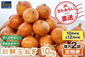 【隔月2回(10月・12月)定期便】JAきたみらいから直送する新鮮玉ねぎ 10kg Lサイズ以上 ( 野菜 定期便 玉葱 たまねぎ 期間限定 )【999-0006-2026】
