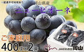 ぶどう 2026年 先行予約 ご家庭用 ニュー ピオーネ 約400g×2房 ブドウ 葡萄 岡山県産 国産 フルーツ 果物 岡山のぶどう 旬のフルーツ 旬の果物 大粒 種無し