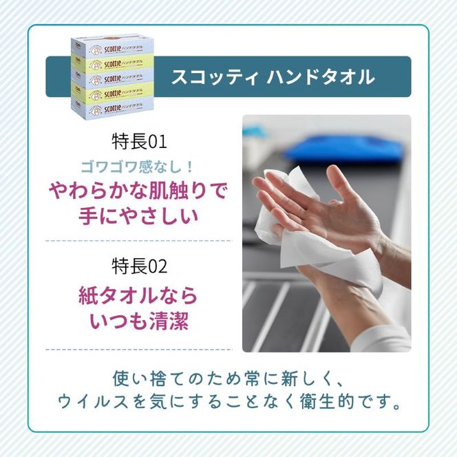 定期便 ペーパータオル スコッティ キレイの仕上げ 5箱 × 2パック《 4ヶ月ごと計3回 》ペーパータオルセット