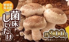 菌床しいたけ 900g（2L～3L）24個 ｜ 肉厚 収穫直後 新鮮 旨味たっぷり 菌床栽培 国産 きのこ キノコ 野菜 料理 食品 産地直送 自宅用 愛媛県鬼北町　※離島への配送不可　※2026年7月下旬頃までに順次発送予定