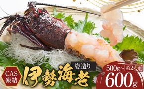 【年末配送】CAS凍結 伊勢海老 姿造り 500g ～ 600g 約2人前 304018_C010