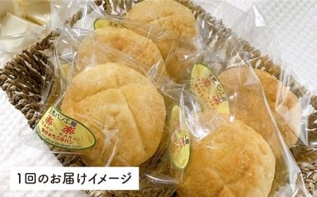 【 全3回 定期便 】自家製 豆乳 を使った お 豆腐 入り の メロンパン ( 卵 / 乳製品 不使用 )《糸島》【天然パン工房楽楽】【いとしまごころ】[AVC044]