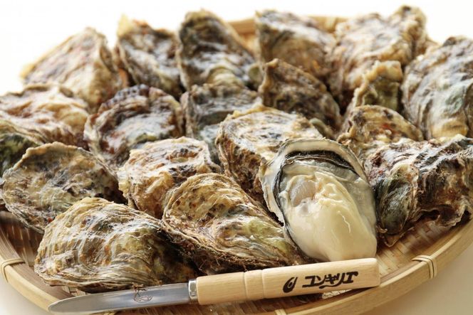 厚岸町の3種の牡蠣を食べつくし 4ヶ月 定期便 牡蠣 カキ 食べ比べ セット 魚貝類 生牡蠣 かき 