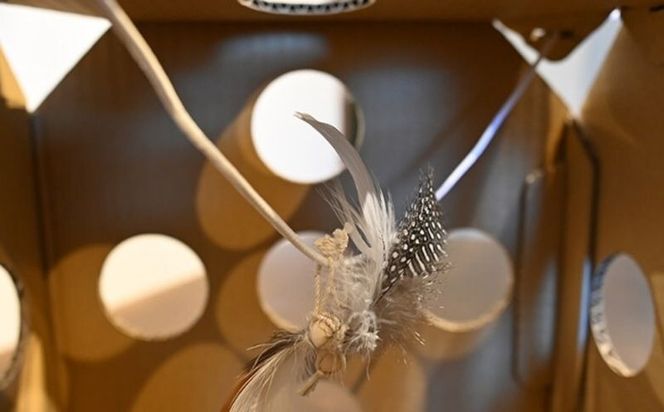 necowakuBOX  【KA001】｜ねこ 猫 ネコ おもちゃ 段ボール 