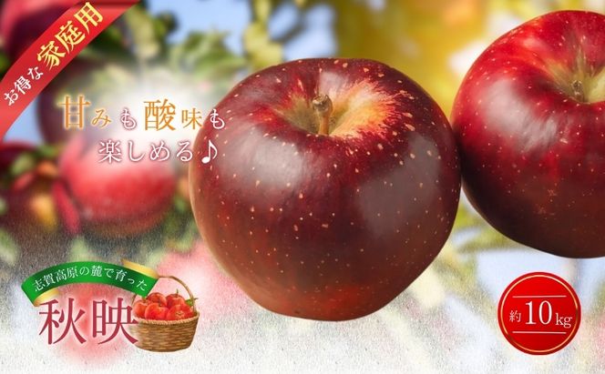 【2026年発送】志賀高原の麓で育った 秋映 （家庭用）約10kg りんご 10kg フルーツ 果物 デザート おやつ 長野県 長野