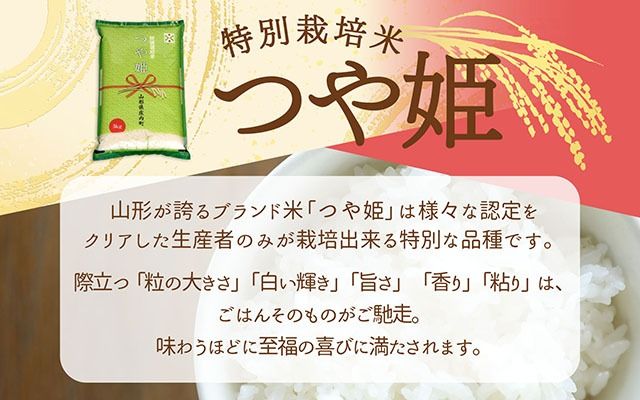 庄内町産 つや姫 10kg 5kg×2袋 令和7年産 2025年産 ブランド米 コシヒカリの原点、亀の尾発祥の地 庄内