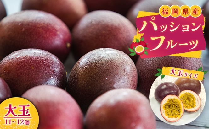 福岡県産 パッションフルーツ 大玉 11～12個 果物 フルーツ ※配送不可:離島