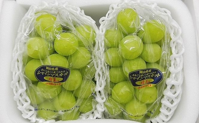 ぶどう 2026年 先行予約 シャインマスカット晴王2房(1房480g以上) 化粧箱入り ブドウ 葡萄 岡山県産 国産 フルーツ 果物 ギフト