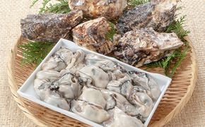 牡蠣 2026年 先行予約 殻付き牡蠣 お徳用 半斗缶 (約50個)約5kg 山銀商店 瀬戸内海虫明湾産 約5kg 魚介類 カキ シーフード かき 