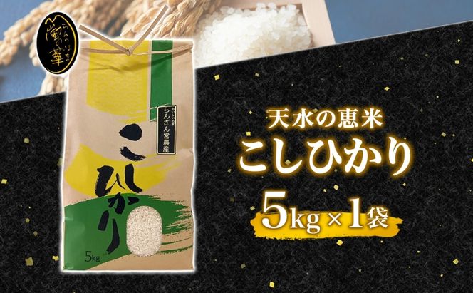 天水の恵米 コシヒカリ 白米 5kg お米 粘り もっちり 国産 白米 ご飯 もちもち 柔らかい お弁当 おにぎり らんざん営農 ギフト 贈り物 嵐山町 埼玉県