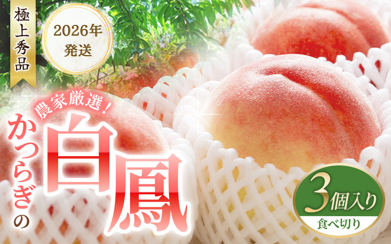 [予約受付]桃の王様 白鳳 [特秀品] うれしい食べきり容量 3玉 2026年6月末頃〜2026年7月末頃に順次発送予定(お届け日指定不可)/ 桃 もも 白鳳 フルーツ 果物 くだもの [kgr010